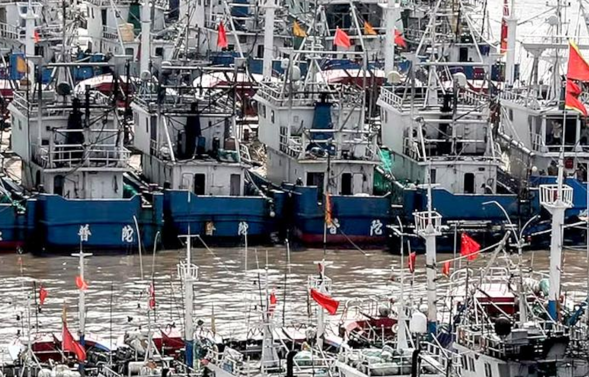 China’s Rapidly Expanding Fishing Fleet Raises Concerns About Illegal Practices and Environmental Sustainability in South America