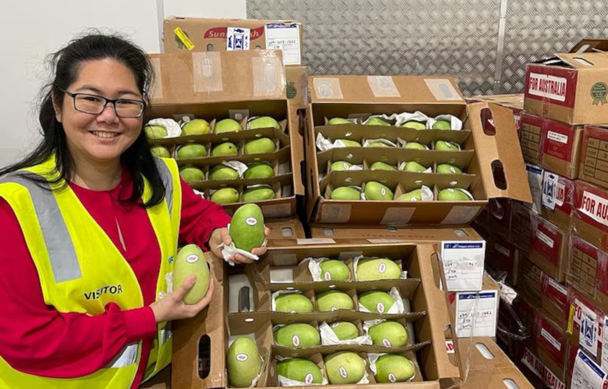 Philippines Celebrates Second Mango Shipment to Australia
